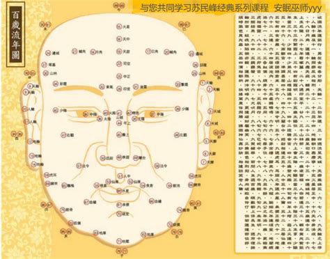 峯生水起精讀班-面相篇